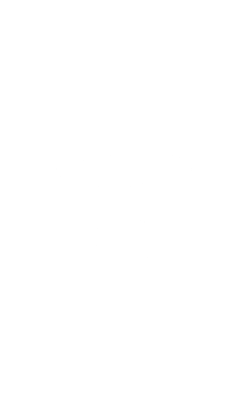 Sem nome (486 x 810 px)